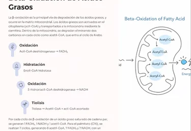 Material visual de Bioquímica Pro System