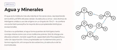 Material visual de Bioquímica Pro System
